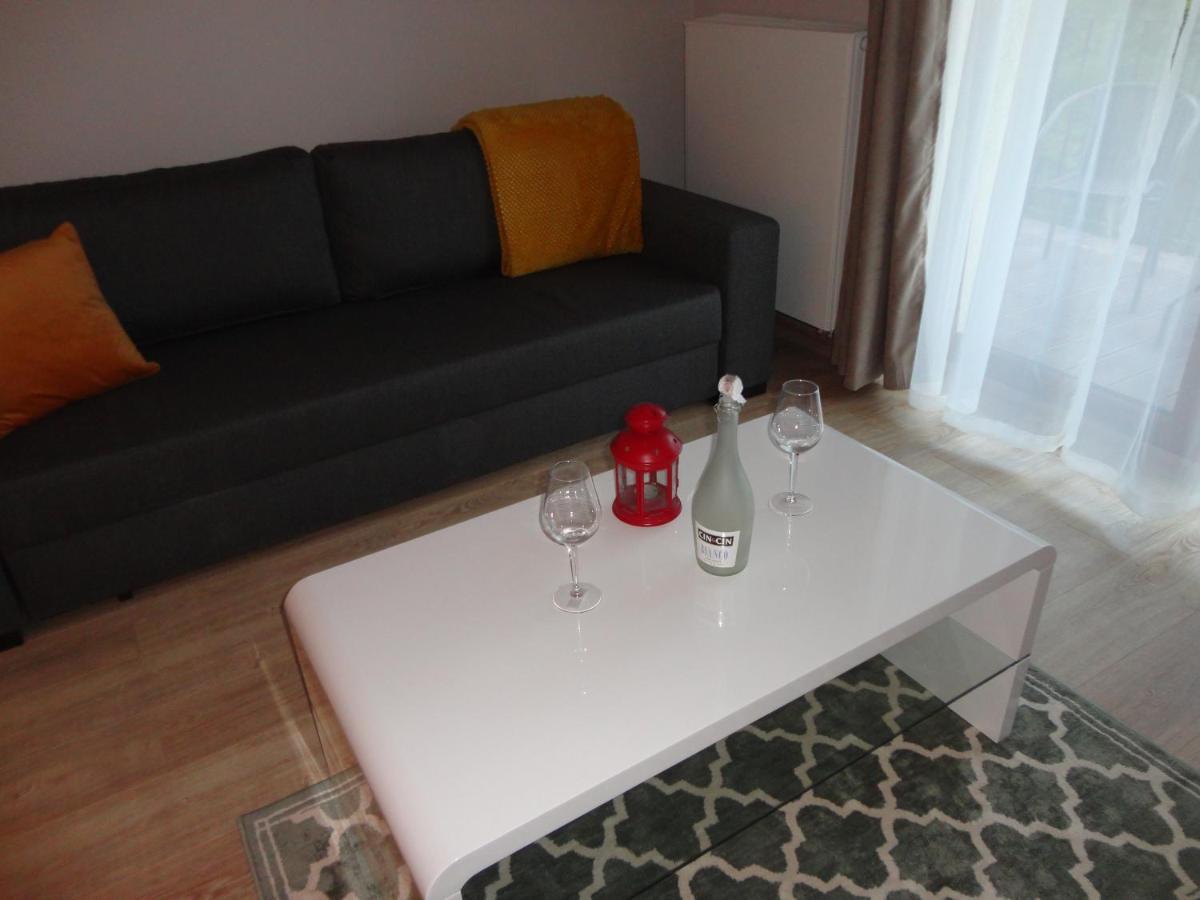 Apartament 5 Pietro Z Widokiem Na Gory Apartment Szklarska Poreba Bagian luar foto