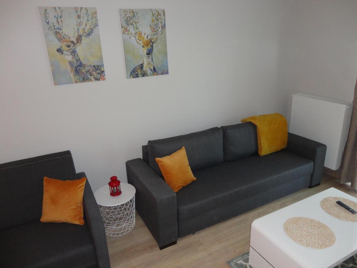 Apartament 5 Pietro Z Widokiem Na Gory Apartment Szklarska Poreba Bagian luar foto